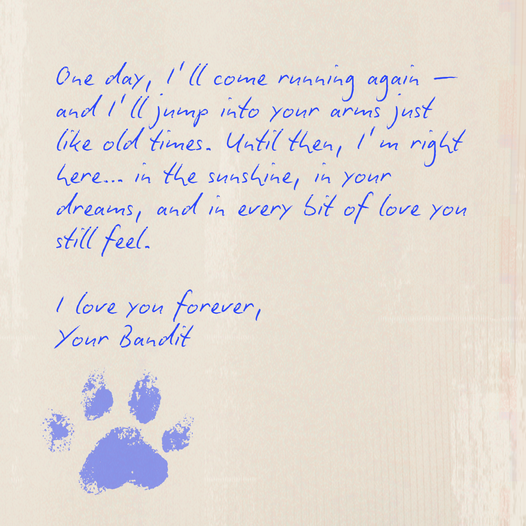 Custom message from pet in heaven โ Rainbow Bridge letter featuring dog or cat artwork and healing words