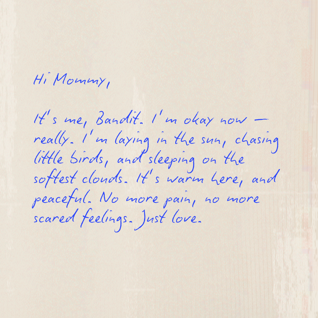 Custom Rainbow Bridge letter from a dog in heaven — personalized digital pet memorial gift with heartfelt message