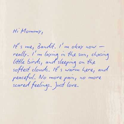 Custom Rainbow Bridge letter from a dog in heaven — personalized digital pet memorial gift with heartfelt message